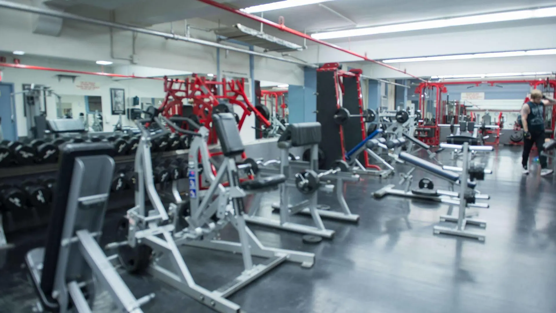 Greenpoint Ymca Brooklyn 뉴욕 호스텔
